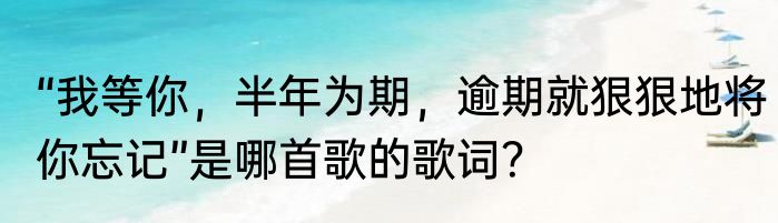 “我等你，半年为期，逾期就狠狠地将你忘记”是哪首歌的歌词？