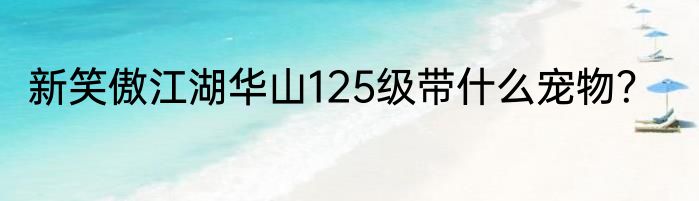 新笑傲江湖华山125级带什么宠物？