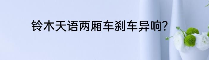 铃木天语两厢车刹车异响？