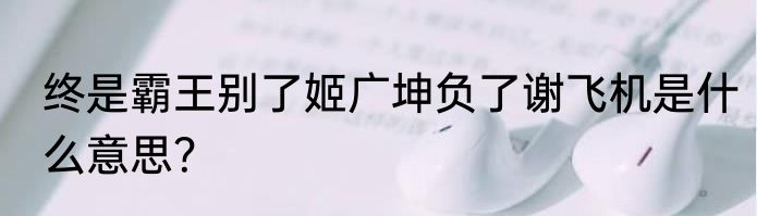 终是霸王别了姬广坤负了谢飞机是什么意思？