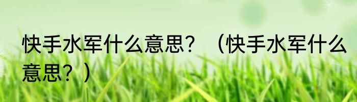 快手水军什么意思？（快手水军什么意思？）