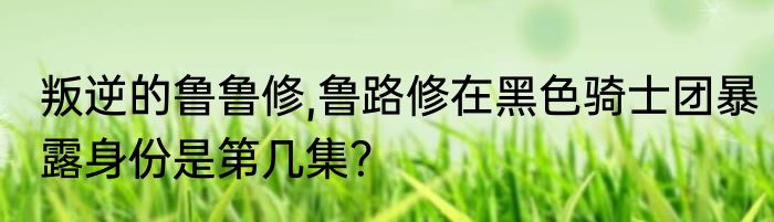 叛逆的鲁鲁修,鲁路修在黑色骑士团暴露身份是第几集？