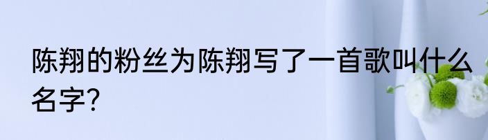 陈翔的粉丝为陈翔写了一首歌叫什么名字？