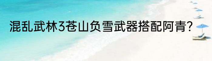 混乱武林3苍山负雪武器搭配阿青？