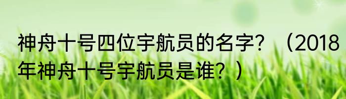神舟十号四位宇航员的名字？（2018年神舟十号宇航员是谁？）