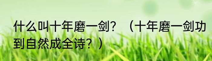 什么叫十年磨一剑？（十年磨一剑功到自然成全诗？）
