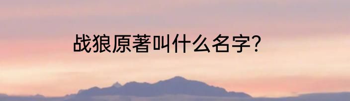 战狼原著叫什么名字？