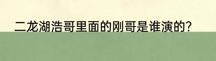 二龙湖浩哥里面的刚哥是谁演的？