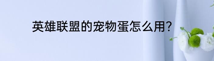 英雄联盟的宠物蛋怎么用？