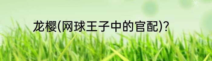 龙樱(网球王子中的官配)？