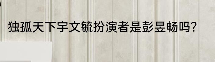 独孤天下宇文毓扮演者是彭昱畅吗？