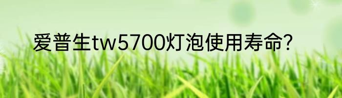 爱普生tw5700灯泡使用寿命？