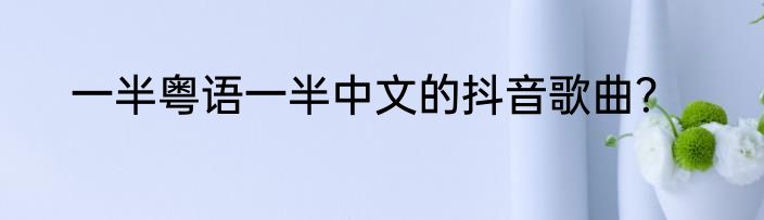 一半粤语一半中文的抖音歌曲？