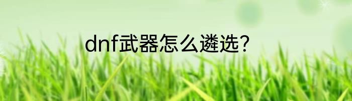 dnf武器怎么遴选？