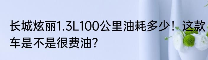 长城炫丽1.3L100公里油耗多少！这款车是不是很费油？