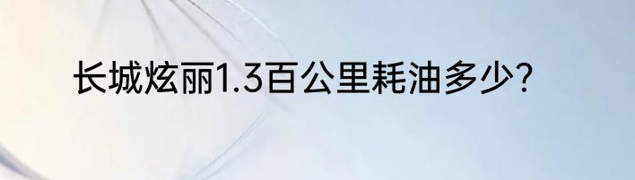 长城炫丽1.3百公里耗油多少？