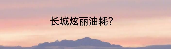 长城炫丽油耗？