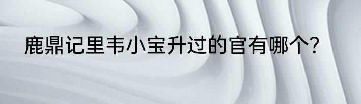 鹿鼎记里韦小宝升过的官有哪个？