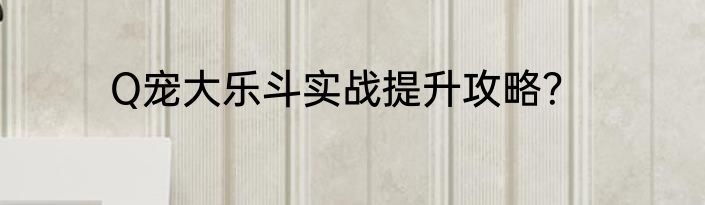 Q宠大乐斗实战提升攻略？