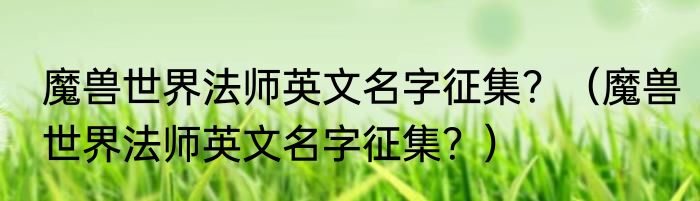 魔兽世界法师英文名字征集？（魔兽世界法师英文名字征集？）