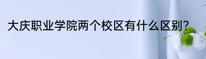 大庆职业学院两个校区有什么区别？
