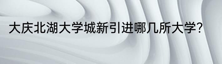 大庆北湖大学城新引进哪几所大学？