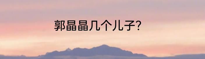 郭晶晶几个儿子？