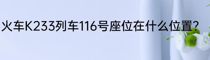 火车K233列车116号座位在什么位置？