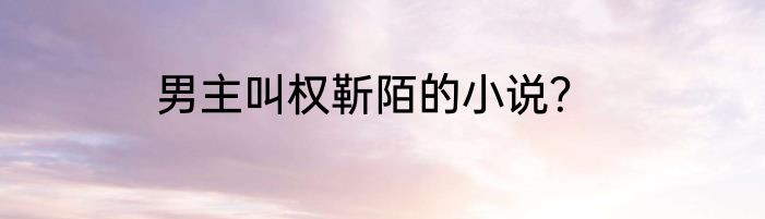 男主叫权靳陌的小说？