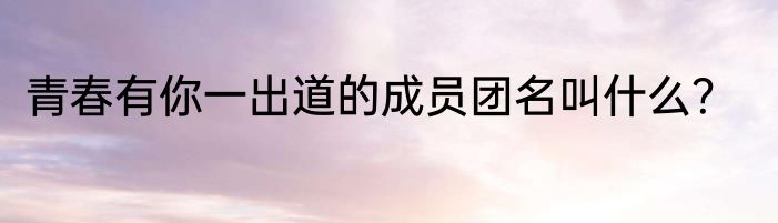 青春有你一出道的成员团名叫什么？