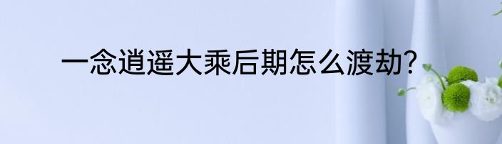 一念逍遥大乘后期怎么渡劫？