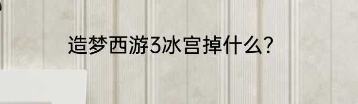 造梦西游3冰宫掉什么？