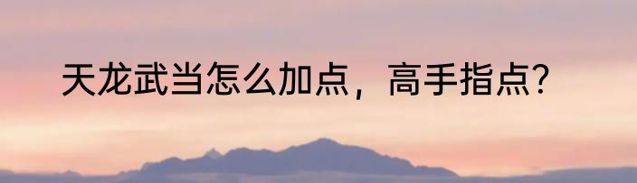 天龙武当怎么加点，高手指点？