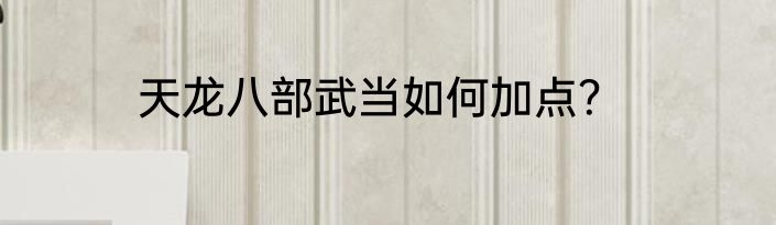 天龙八部武当如何加点？