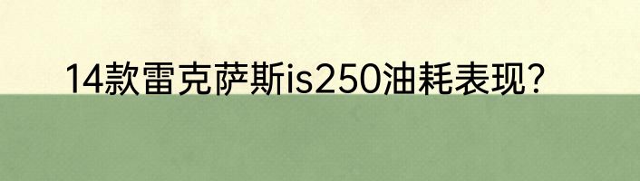 14款雷克萨斯is250油耗表现？