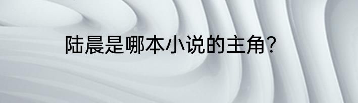 陆晨是哪本小说的主角？