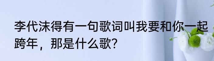 李代沫得有一句歌词叫我要和你一起跨年，那是什么歌？