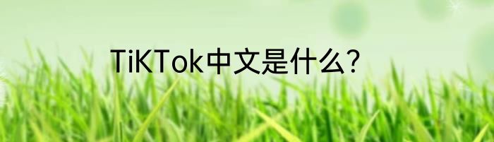 TiKTok中文是什么？