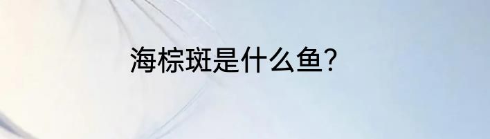 海棕斑是什么鱼？