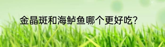 金晶斑和海鲈鱼哪个更好吃？