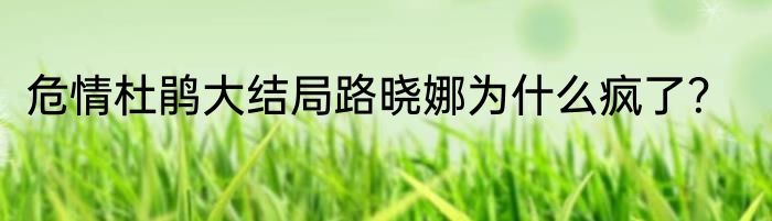 危情杜鹃大结局路晓娜为什么疯了？
