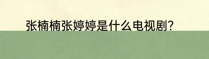 张楠楠张婷婷是什么电视剧？