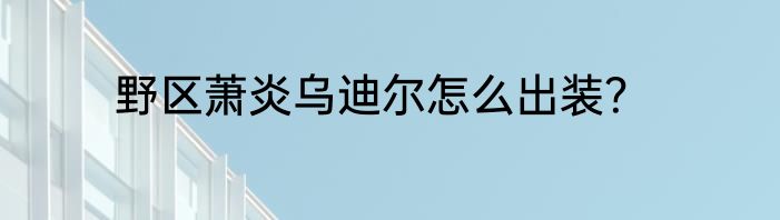 野区萧炎乌迪尔怎么出装？