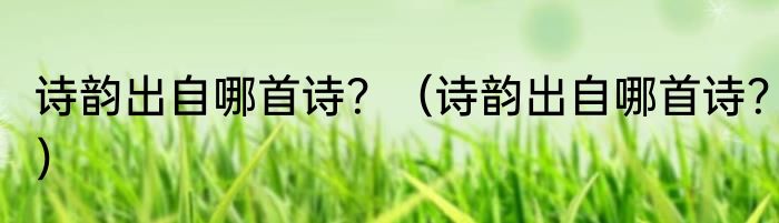 诗韵出自哪首诗？（诗韵出自哪首诗？）