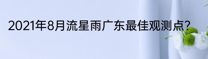 2021年8月流星雨广东最佳观测点？