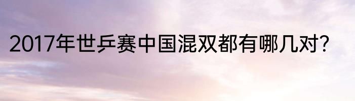 2017年世乒赛中国混双都有哪几对？