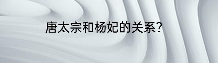 唐太宗和杨妃的关系？