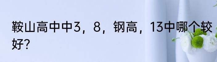 鞍山高中中3，8，钢高，13中哪个较好？