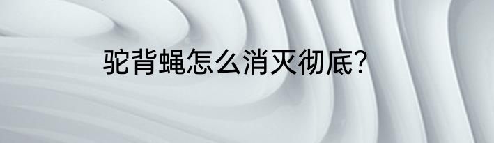 驼背蝇怎么消灭彻底？