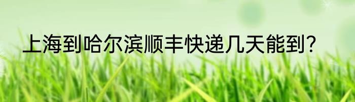 上海到哈尔滨顺丰快递几天能到？